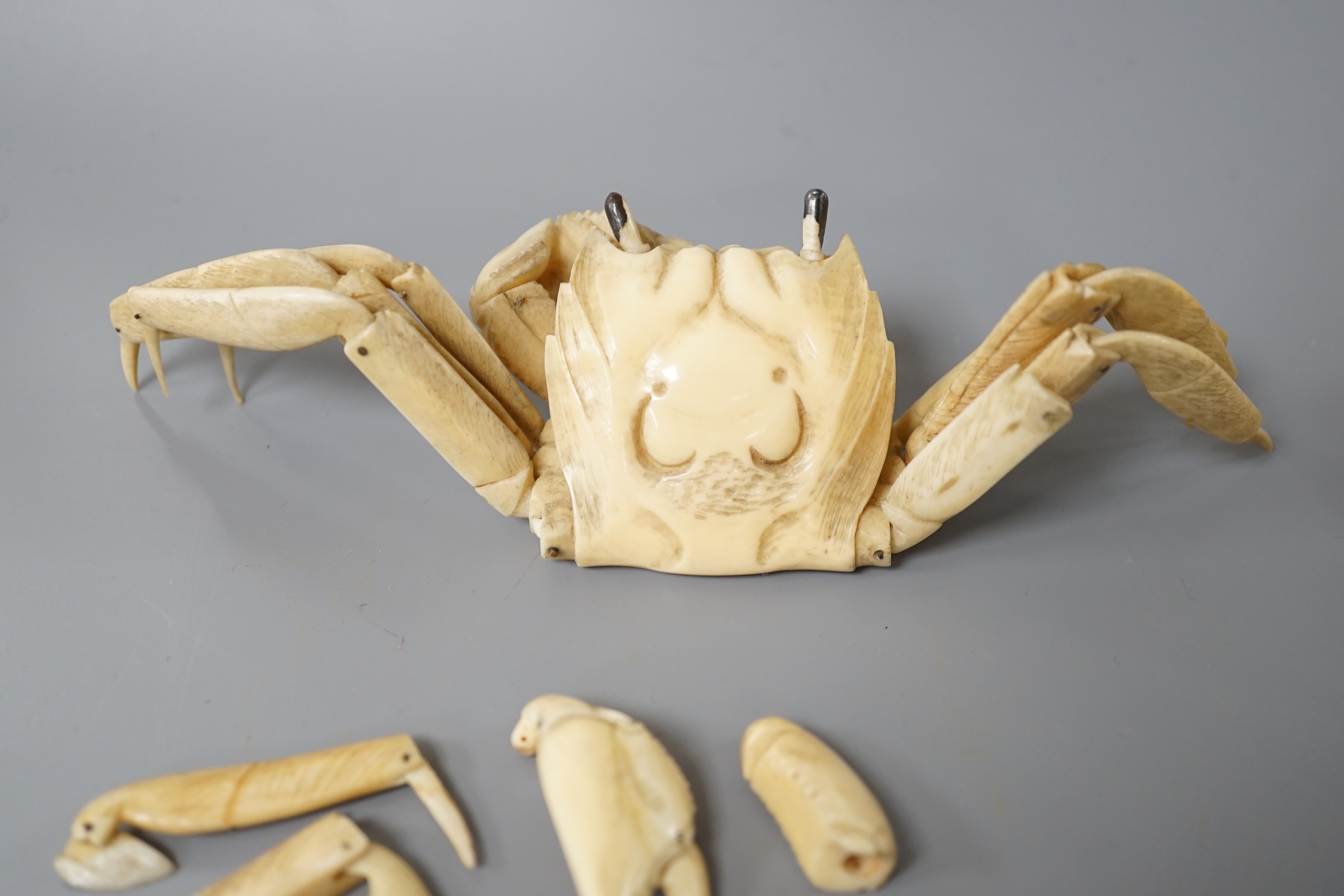 An early 20th century Japanese ivory articulated model of a crab, parts detached
